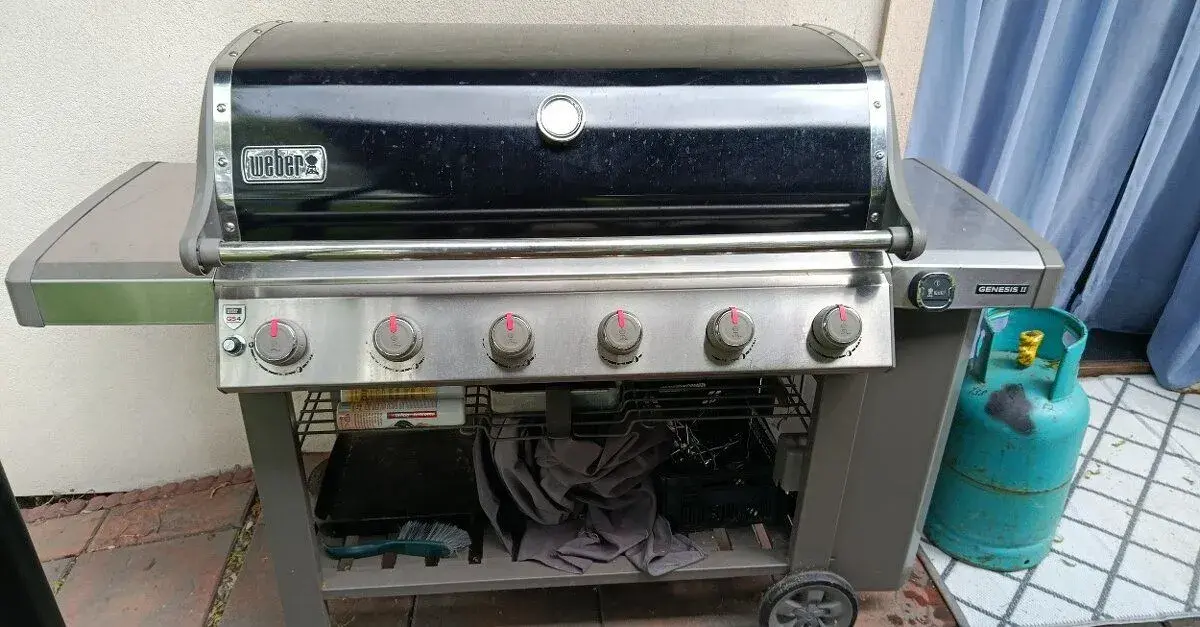 Weber genesis