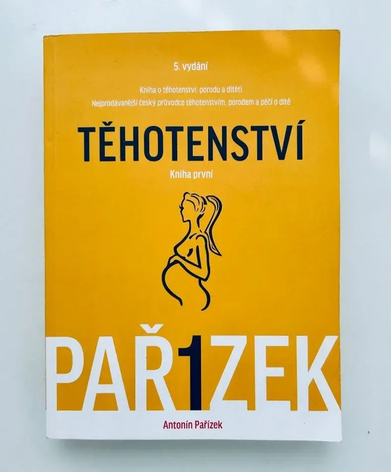 A.Pařízek: Těhotenství Kniha první