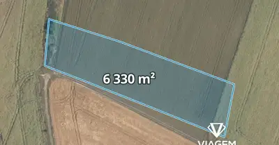 Pole 6 330 m²