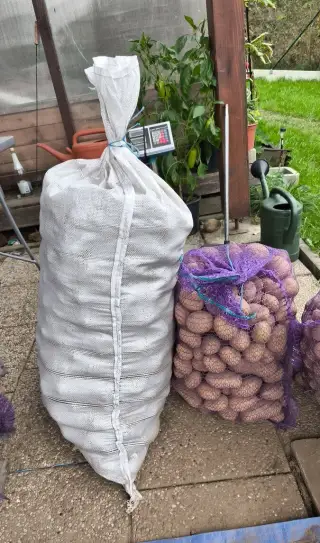 Brambory na uskladnění 14kc/za kg