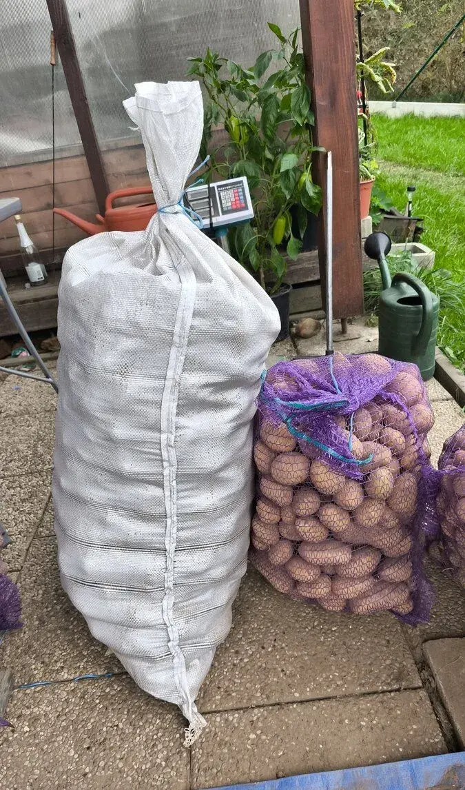 Brambory na uskladnění 14kc/za kg