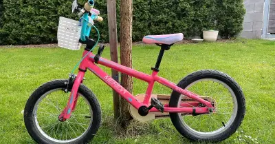 Dětské kolo 16