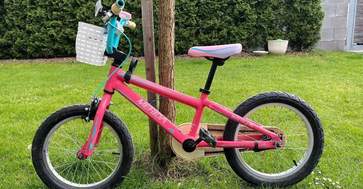 Dětské kolo 16