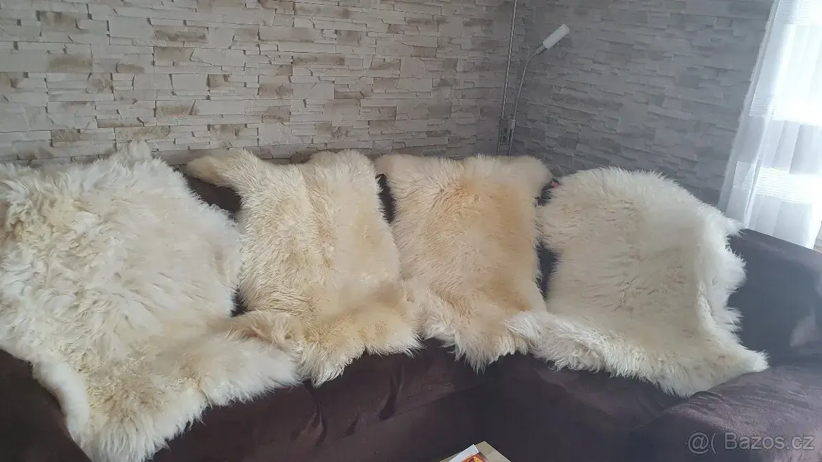 Kožešiny z ovečky, pravá ovčí kožešina