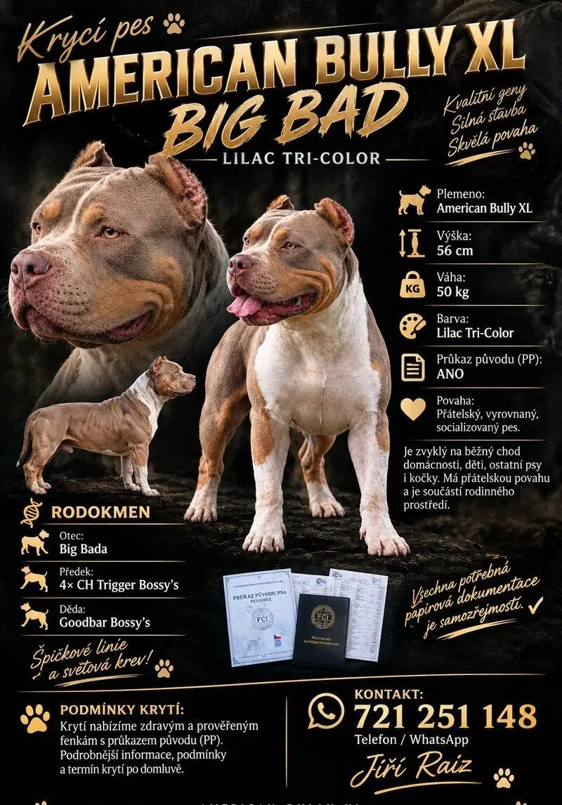 KRYCÍ PES AMERICAN BULLY XL