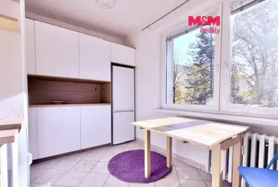 Pronájem bytu 1+1 v Ostravě, ul. Slavíkova