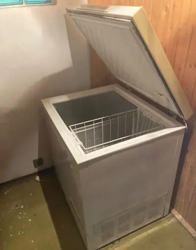 Pultový mrazák Gorenje