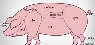 Prase