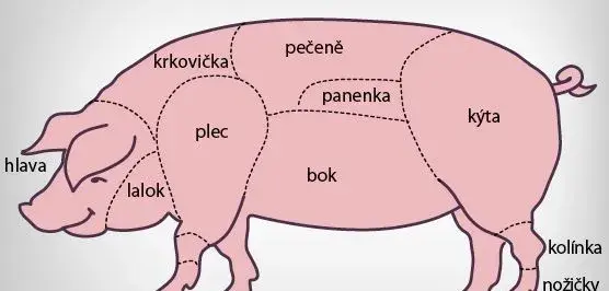 Prase