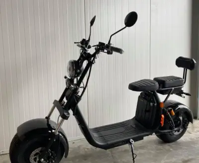 Prodej elektrokoloběžky Lera Scooters C2 2000W SPZ