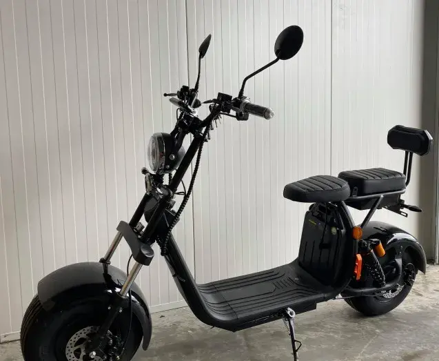 Prodej elektrokoloběžky Lera Scooters C2 2000W SPZ