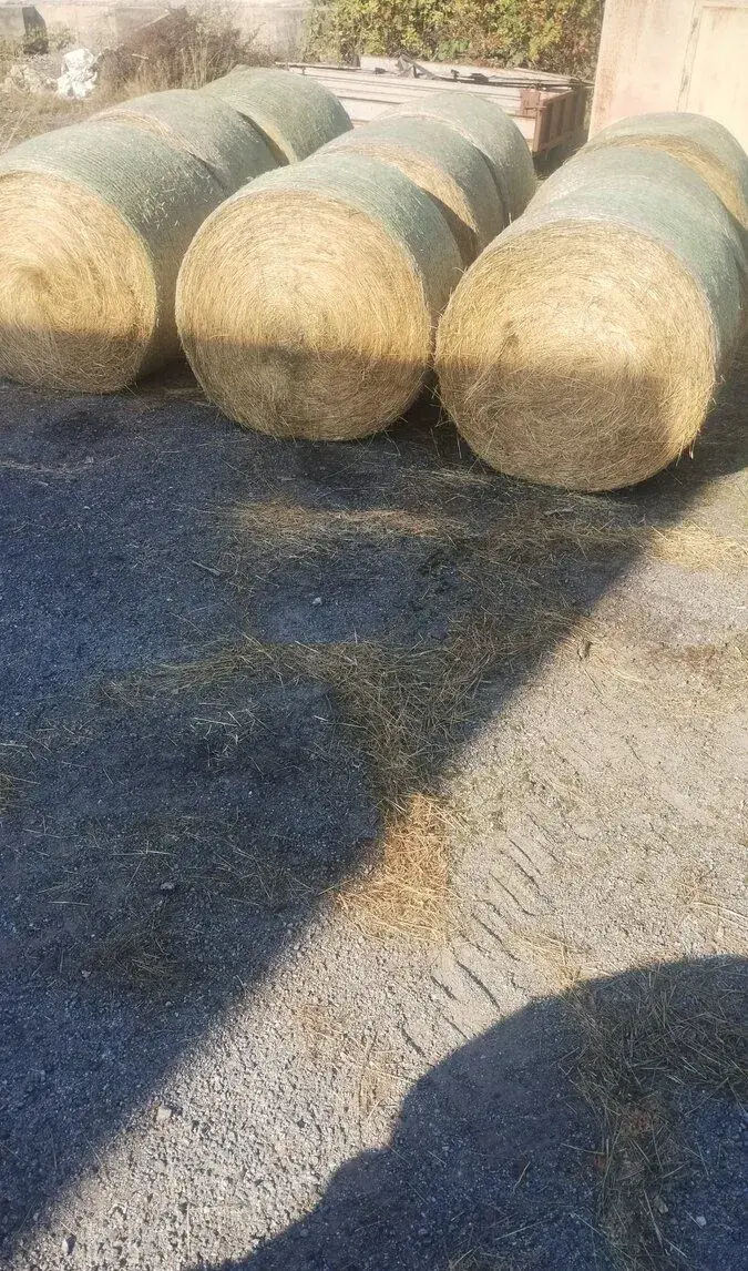 Seno kulaté balíky