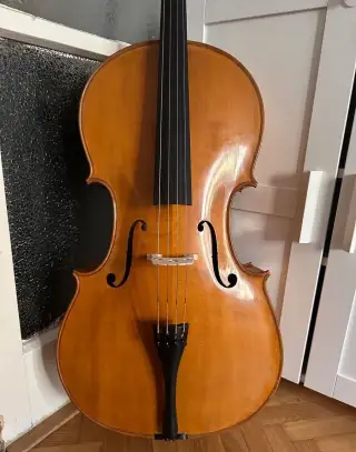 Violoncello
