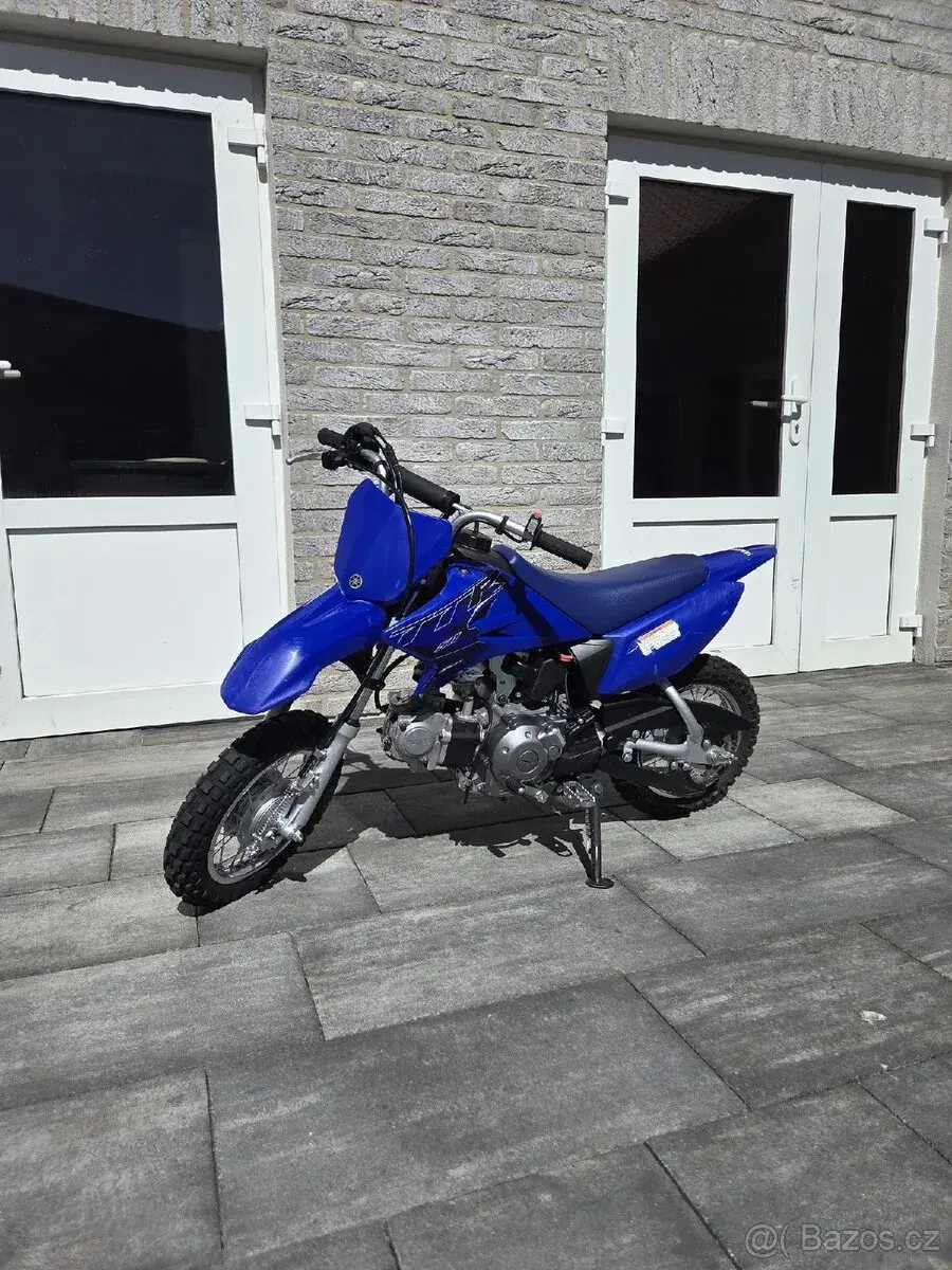 Yamaha ttr 50