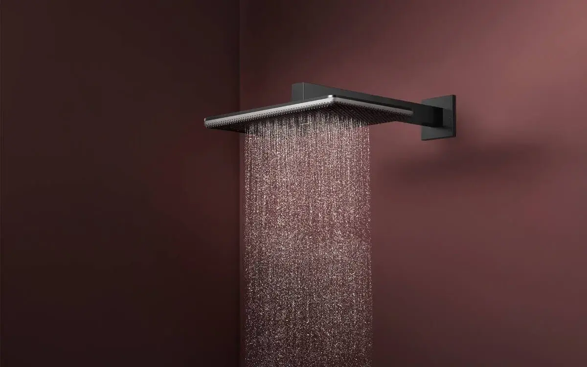Hlavová sprcha Hansgrohe