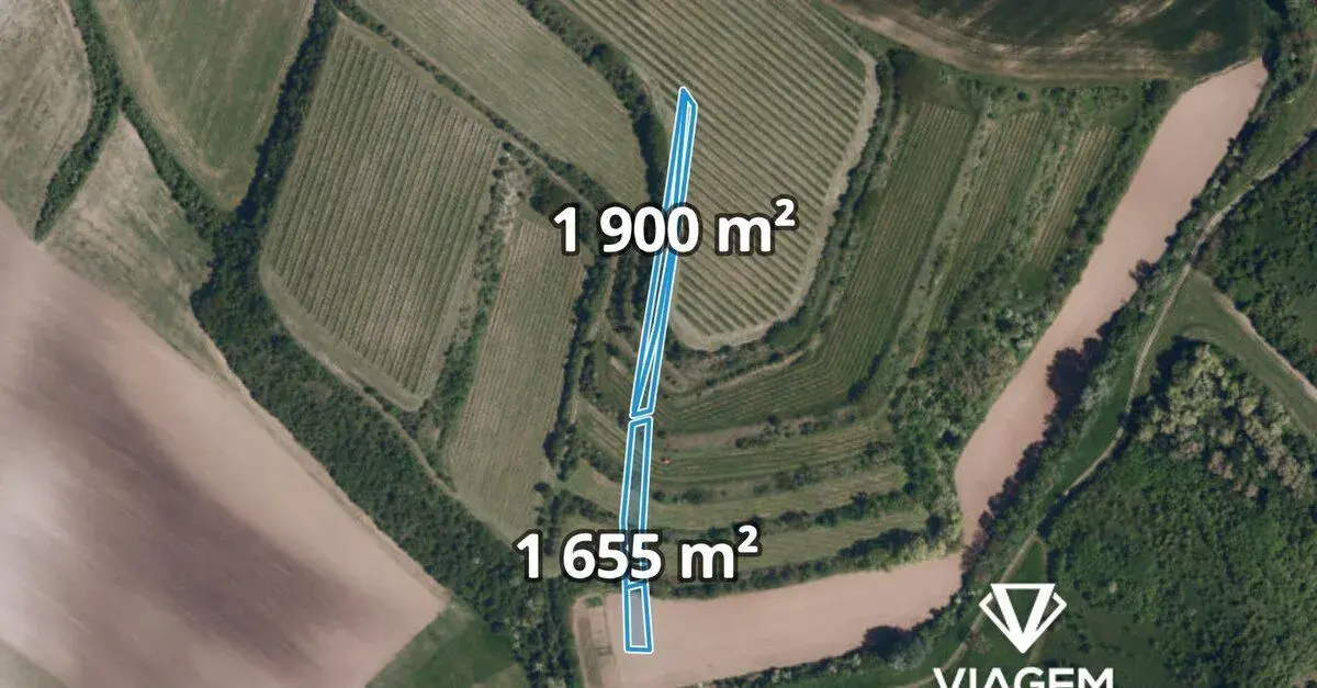 Pole 3 555 m², Podíl 20 % o výměře 711 m²