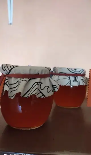 Rakytníkový sirup 100% Bio