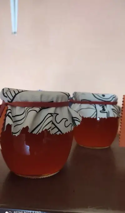 Rakytníkový sirup 100% Bio