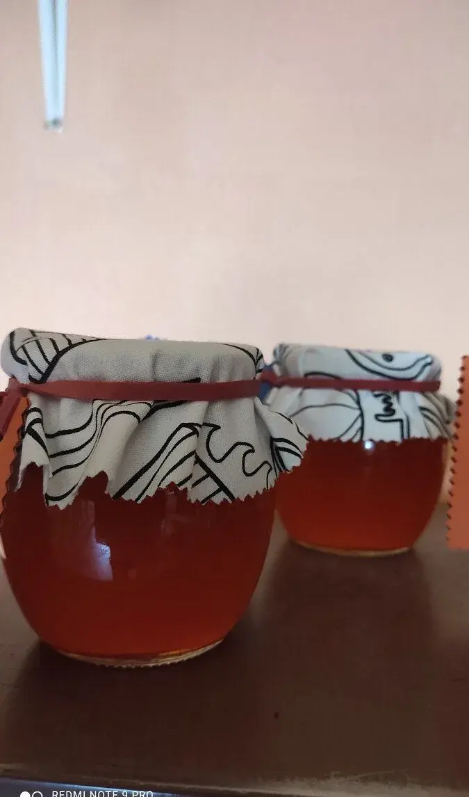 Rakytníkový sirup 100% Bio