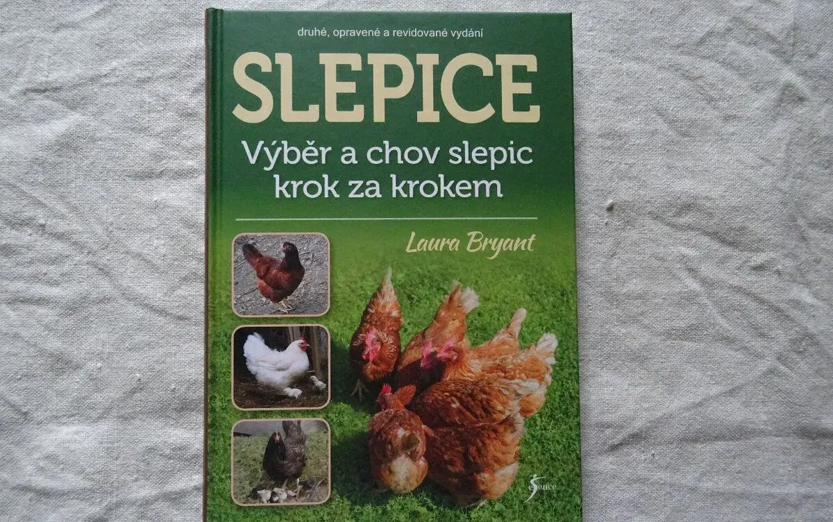 Slepice