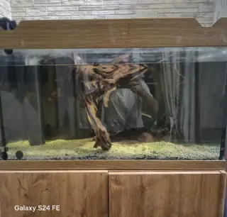 Akvario 80×40×35