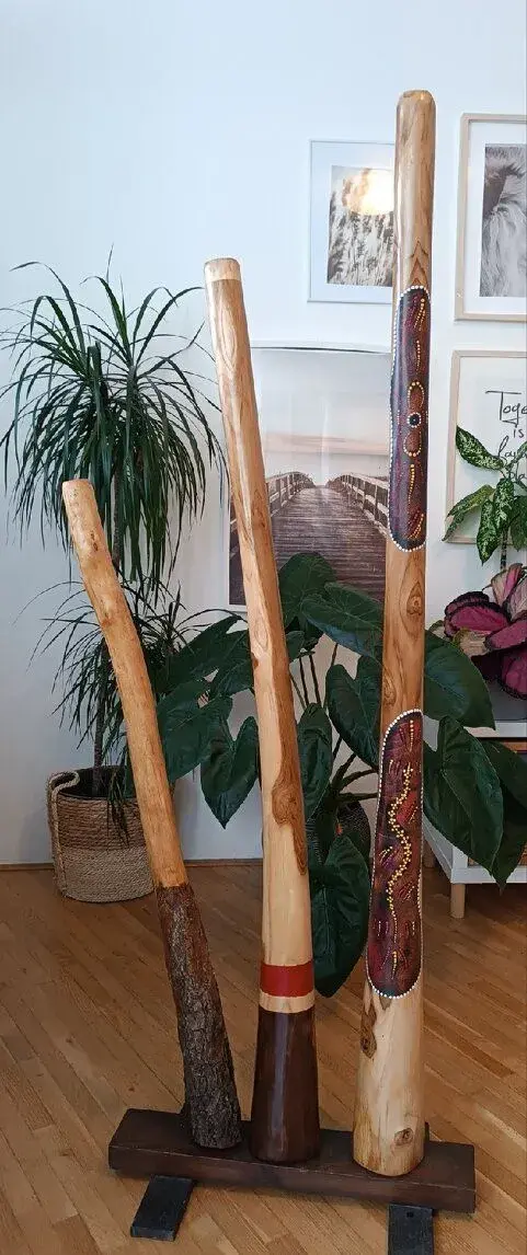 Prodej sbírky didgeridoo