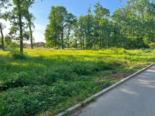 Kersko – stavební pozemek s vlastním lesem | 4 693 m²