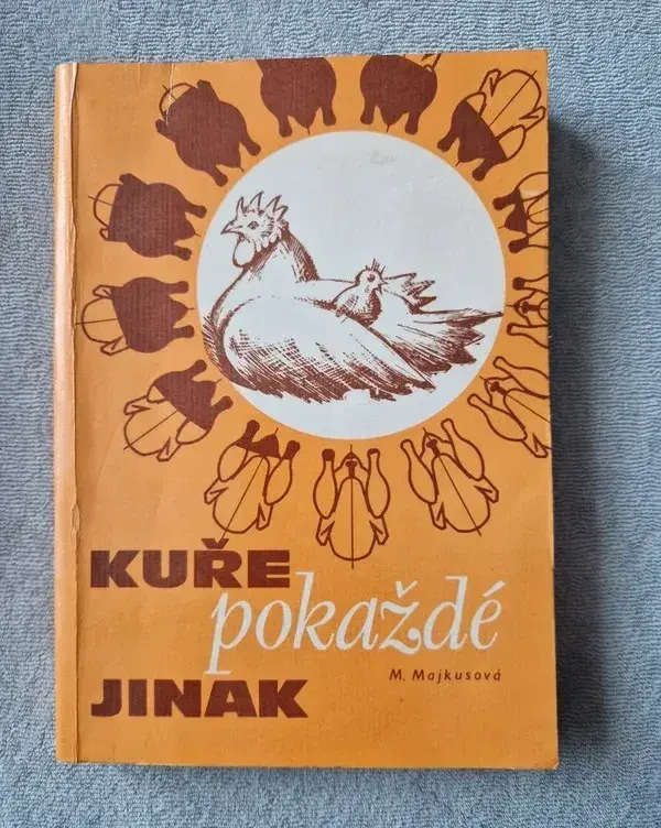 Kuře pokaždé jinak
