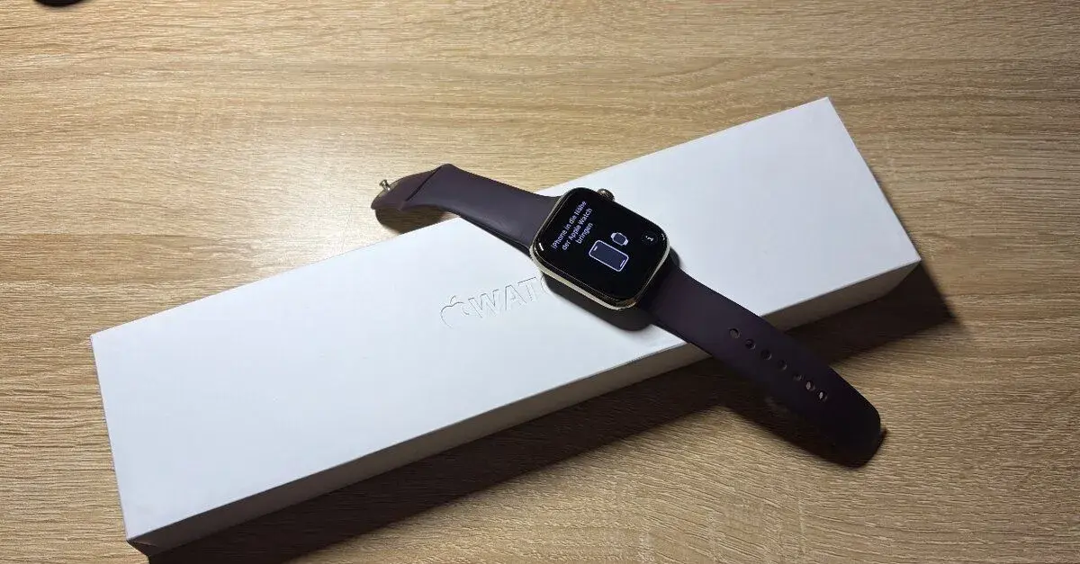 Apple Watch 7 LTE Stainless Steel