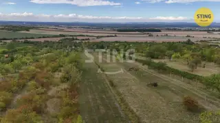 Prodej rekreační chaty s pozemkem, 4483m2, Strážnice, 136584