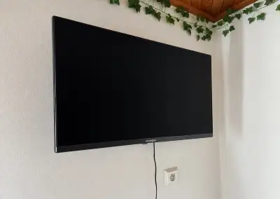 Hyundai televize