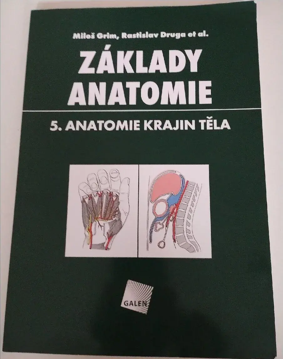 Základy anatomie