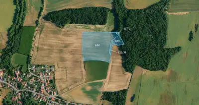 Prodel pole - Přišimasy