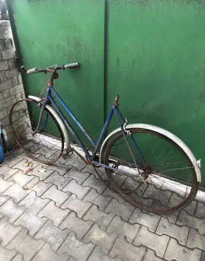 Kolo Sport