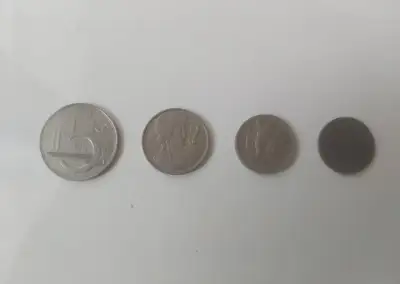 381 kusů mincí