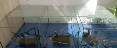Akvária