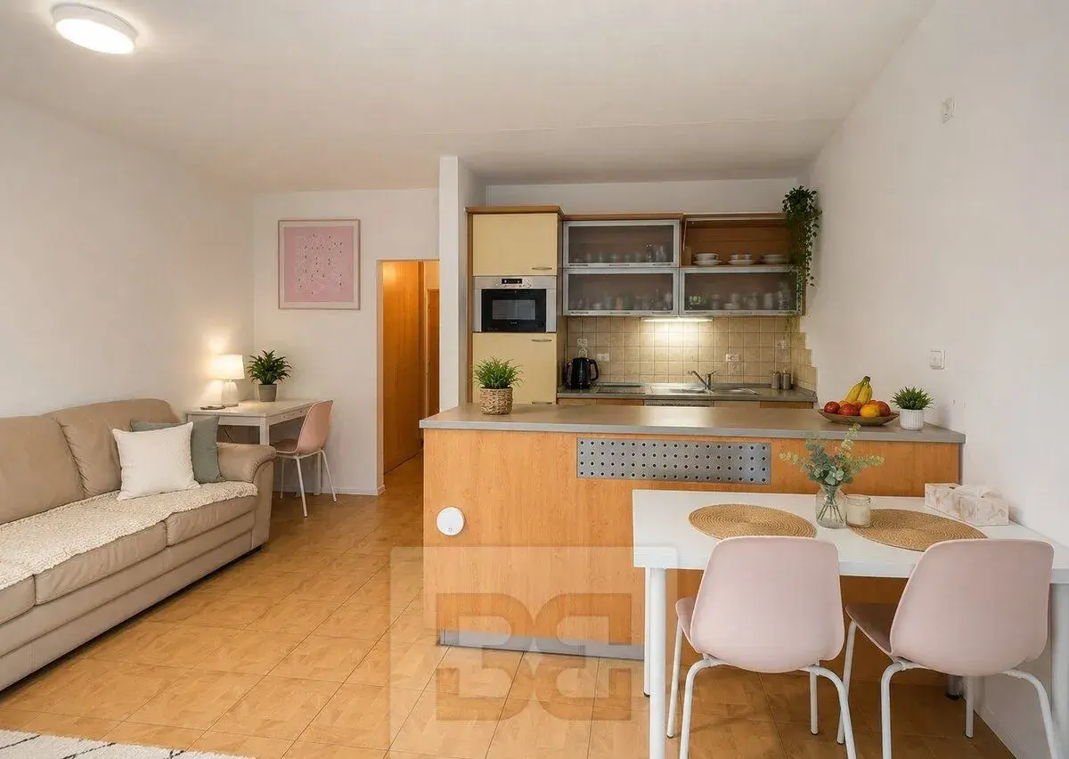 Pronájem bytu 2+kk 45 m², Brno - Židenice, ev.č. N09930