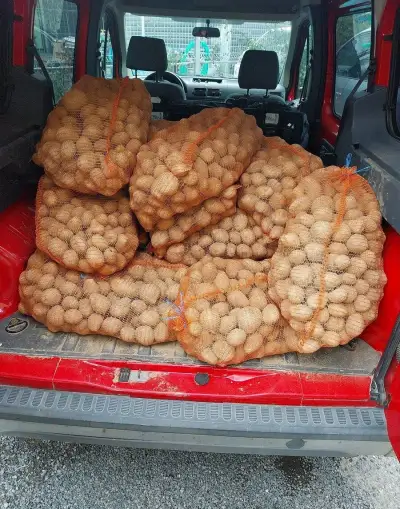 Rozvoz brambor a cibule, doprava zdarma