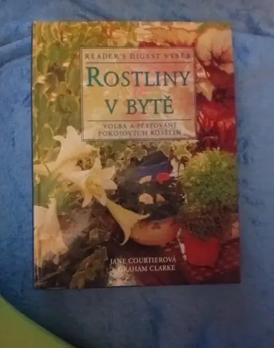 Rostliny v bytě