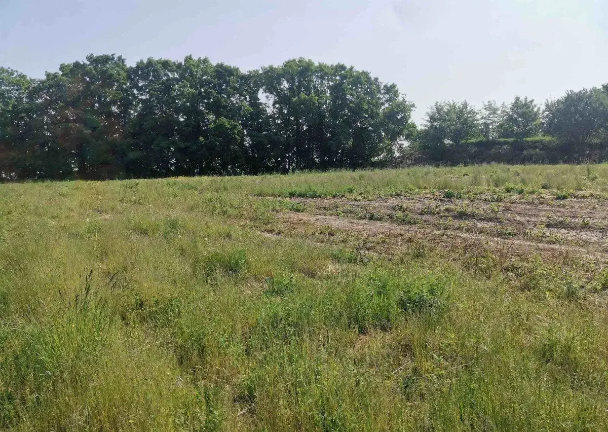 PRONÁJEM POZEMKU 3.000 m2 Malé Přítočno okr. Kladno