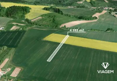 Pole 4 593 m², Podíl 50 % o výměře 2 297 m²