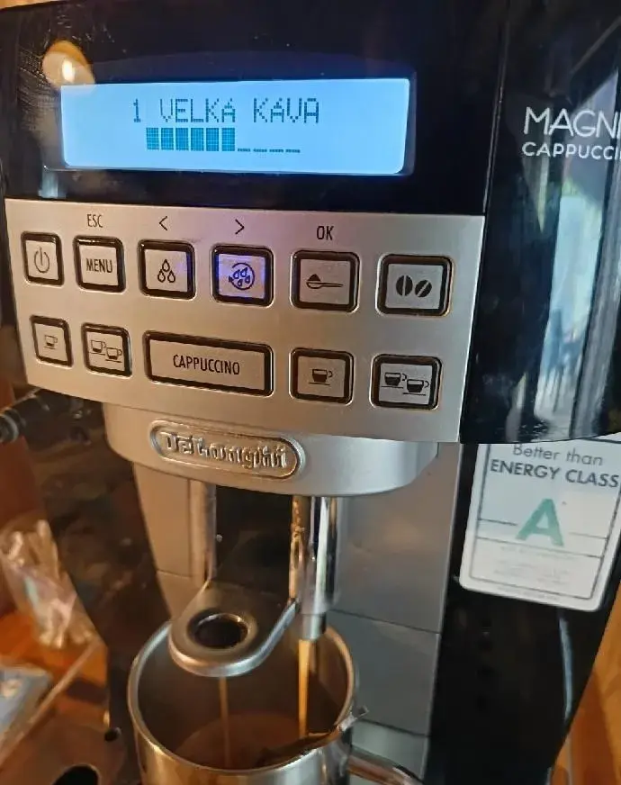 DeLongi