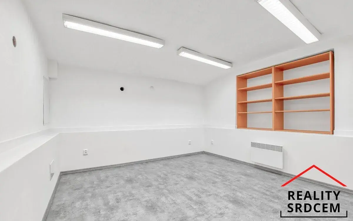 Pronájem nebytového prostoru, 52 m2, tř. T. G. Masaryka, Frý