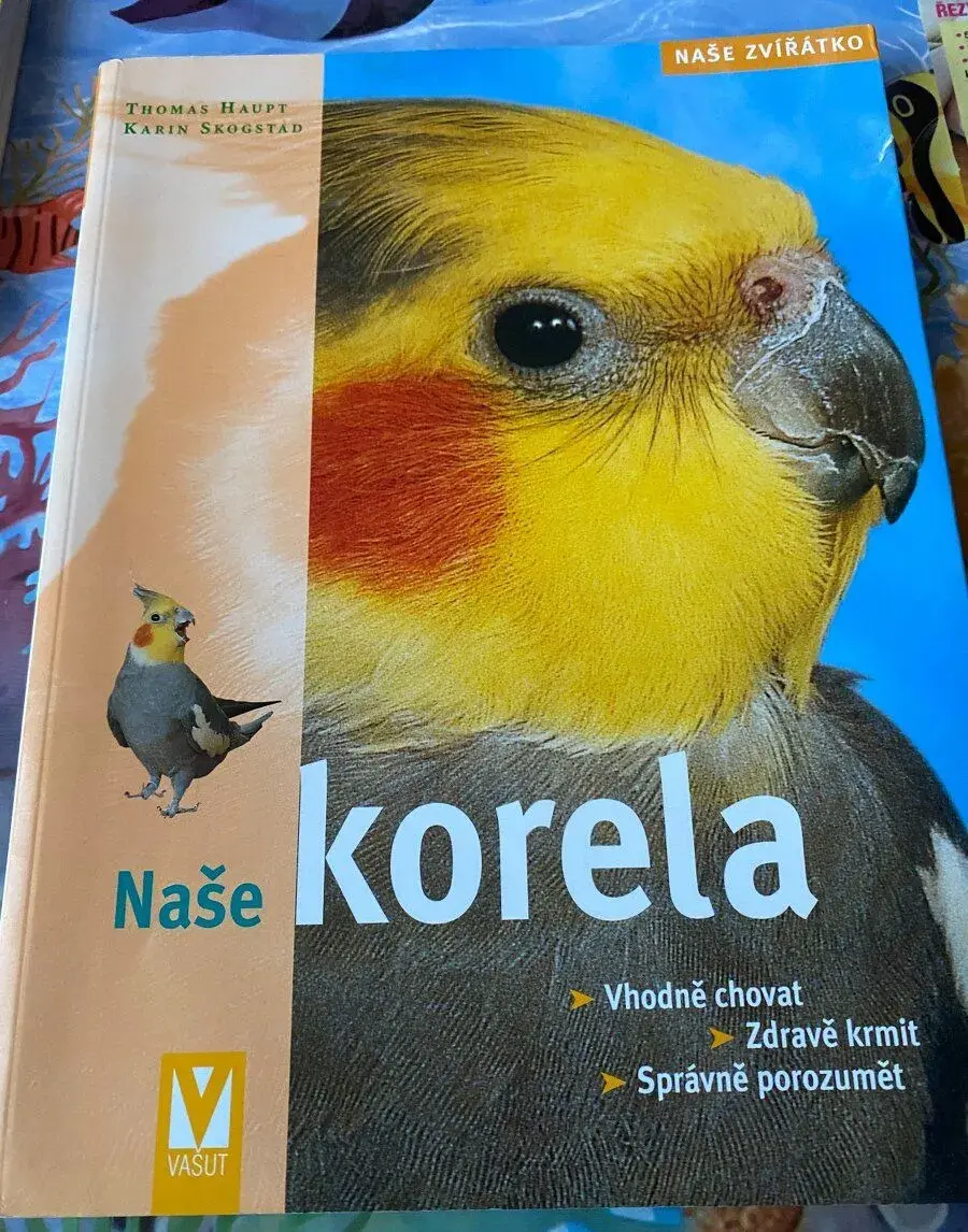 Korela