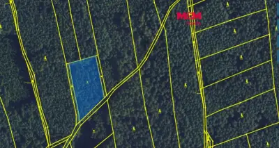 Prodej pozemku, 3 937 m², Brťov u Velkých Opatovic