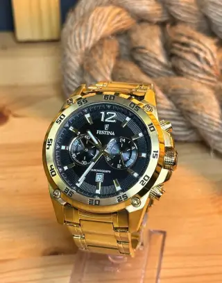 Hodinky Festina F16806