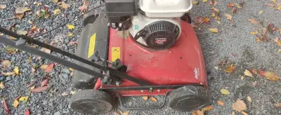 Vertikutator