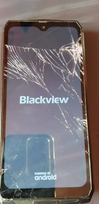 Telefon Blackview BV9100