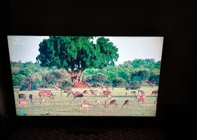 LG 55QNED93A6A evo AI Mini Led Smart TV 2025 4 K UHD