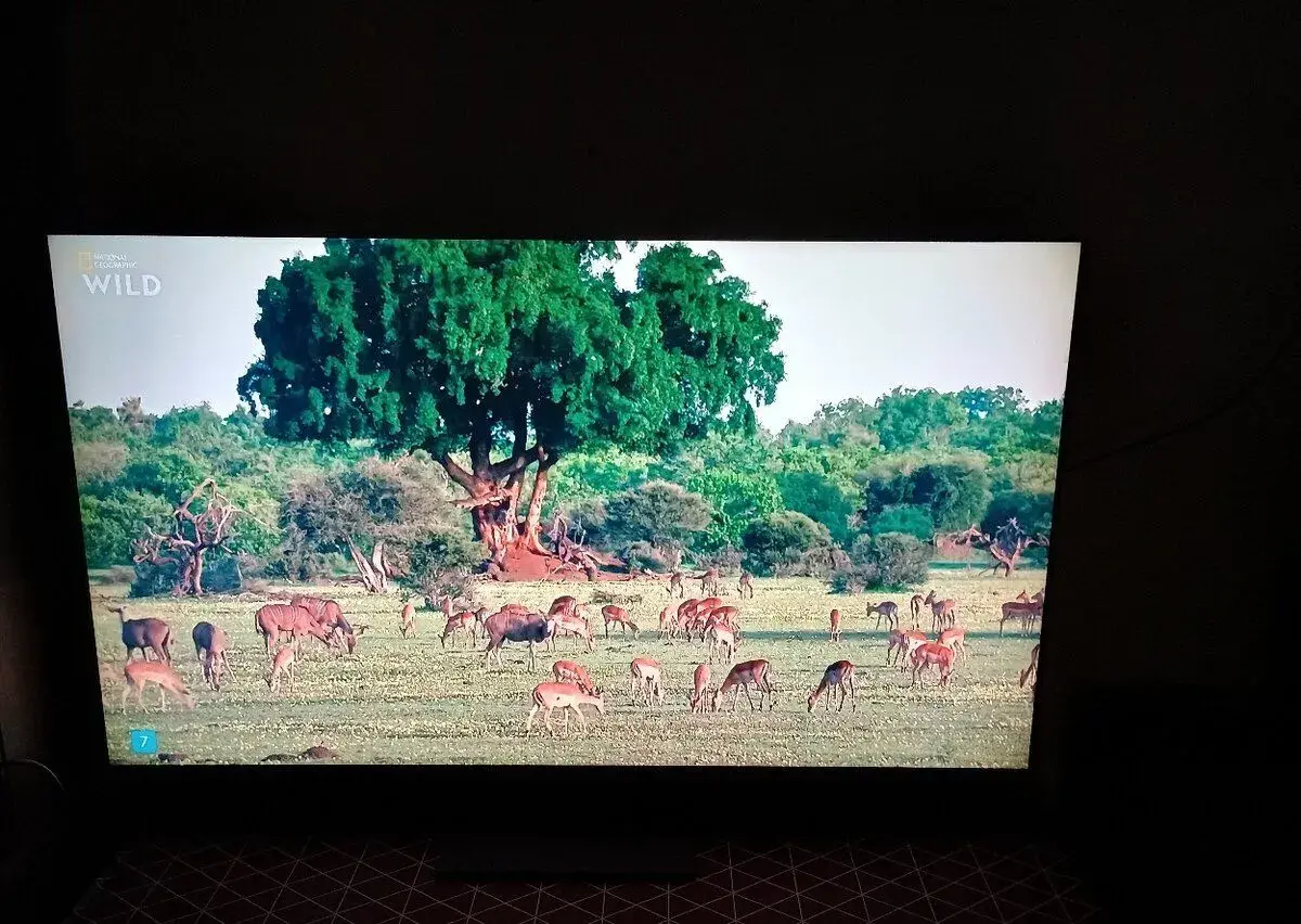 LG 55QNED93A6A evo AI Mini Led Smart TV 2025 4 K UHD